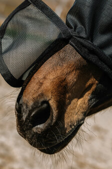 EquiTheme vliegenmasker Protec UV werend zwart