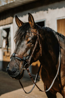 EquiTheme neusnetje UV werend