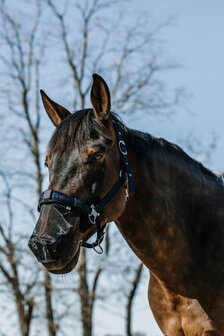 EquiTheme neusnetje UV werend