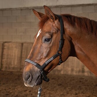 Harry&#039;s Horse leren halster Flash zwart