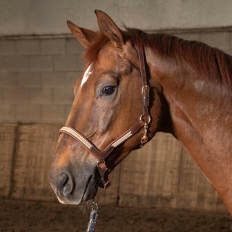 Harry&#039;s Horse leren halster Flash bruin