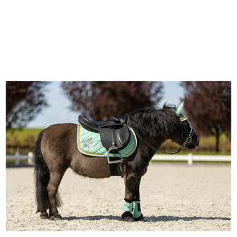 BR Mini Horse zadeldek feldspar
