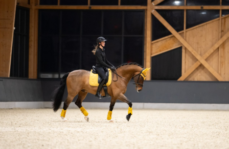Eskadron oornetje Pearls Platinum 2025 golden yellow