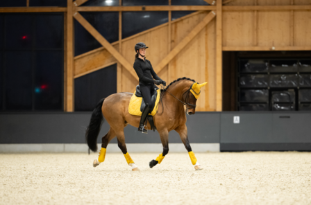 Eskadron oornetje Pearls Platinum 2025 golden yellow