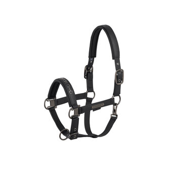 Eskadron halster Faux Leather Double Pin Platinum 2025 zwart