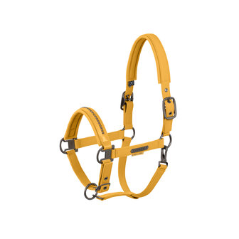 Eskadron halster Softshell Pearls Double Pin Platinum 2025 golden yellow