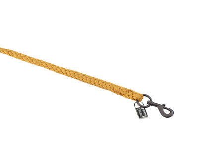 Eskadron halstertouw Regular musketonhaak Platinum 2025 golden yellow
