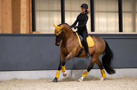 Eskadron peesbeschermers Faux Leather Platinum 2025 golden yellow