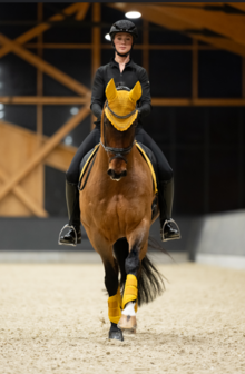 Eskadron peesbeschermers Faux Leather Platinum 2025 golden yellow
