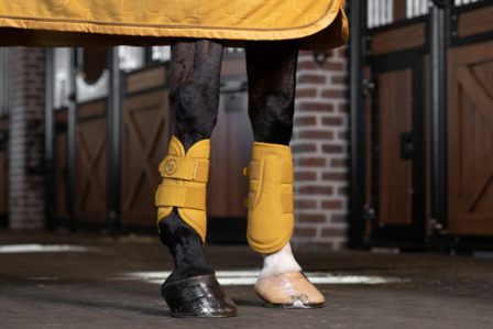 Eskadron peesbeschermers Faux Leather Platinum 2025 golden yellow