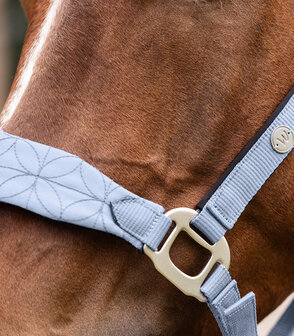 Waldhausen halster Rom pastel blauw