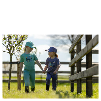 BR Mini Horse pet midnight navy
