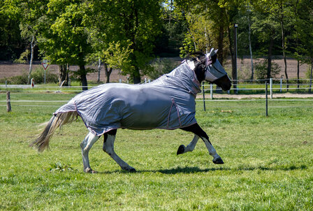 HKM vliegendeken met hals Grey