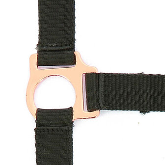 Norton halster set Rose Gold zwart