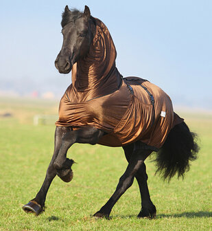 QHP eczeemdeken Big neck bruin