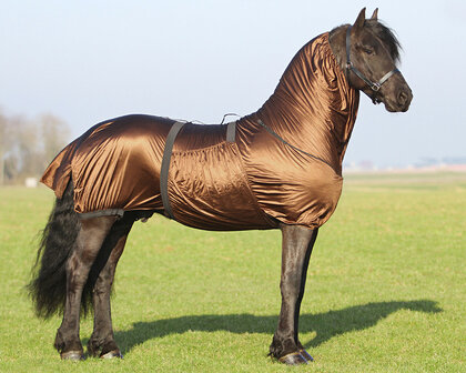 QHP eczeemdeken Big neck bruin