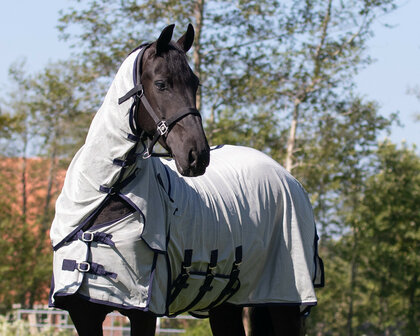 QHP vliegendeken met hals en masker Big neck