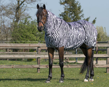 QHP eczeemdeken zebra