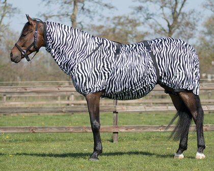 QHP eczeemdeken zebra