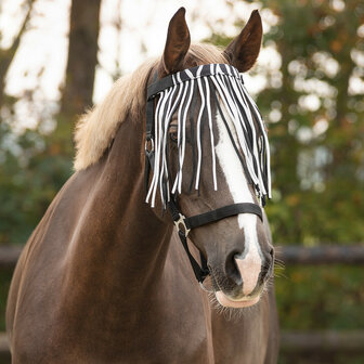 QHP vliegennetje zebra