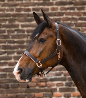 Waldhausen leren halster X-lijn Ros&eacute; bruin