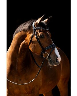 Anatomisch Hoofdstel met Swarovski &amp; Rocky Glitters