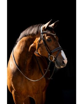 Anatomisch Hoofdstel met Swarovski &amp; Rocky Glitters &ndash; Comfort &amp; Luxe voor Je Paard bruin