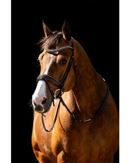 Anatomisch Hoofdstel met Swarovski &amp; Rocky Glitters &ndash; Comfort &amp; Luxe voor Je Paard bruin