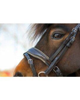 HB anatomisch Hoofdstel Showtime Welsh Rocky glitter bruin