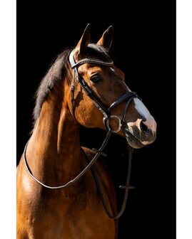 HB Anatomisch Hoofdstel met Swarovski en Luxe Glitters Showtime Jump lak bruin