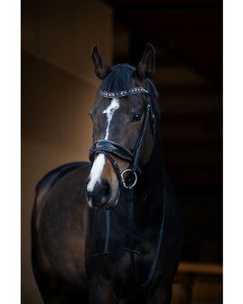 HB Showtime Anatomisch hoofdstel met rocky glitters en Swarovski-details It is So Special zwart/zwart glitter