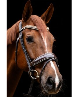 HB Showtime Anatomisch hoofdstel met rocky glitters en Swarovski-details It is So Special bruin/goud glitter