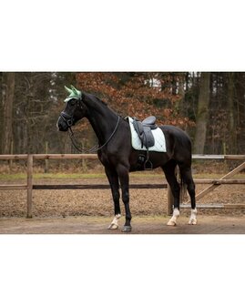 HB zadeldek Showtime Spring collectie mintgroen