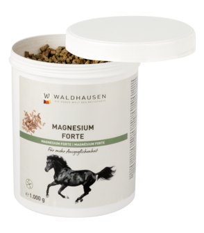 Waldhausen magnesium forte 1kg