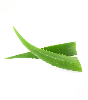 Waldhausen antiklit spray voor vacht, manen en staart &ndash; met aloe vera en glanseffect 2,5 liter