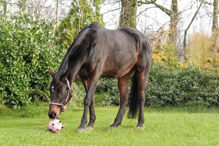HKM paardenspeelgoed Fun lichtroze