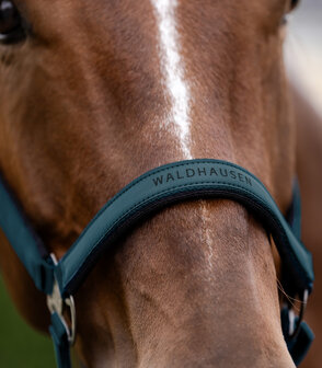 Waldhausen halster Athletic