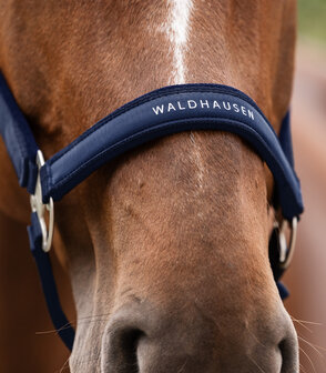 Waldhausen halster Athletic