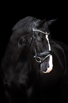 Imperial Riding Hoofdstel Fria