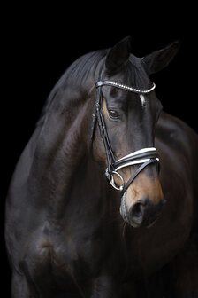 Imperial Riding Hoofdstel Fria