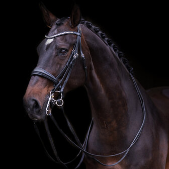 Imperial Riding Stang Trens Hoofdstel Fria