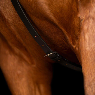 Imperial Riding Martingaal Core