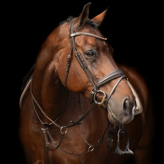 Imperial Riding Martingaal Core