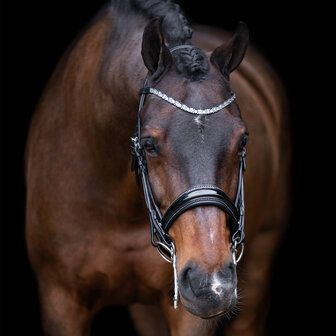 Imperial Riding stang trens hoofdstel Olympia