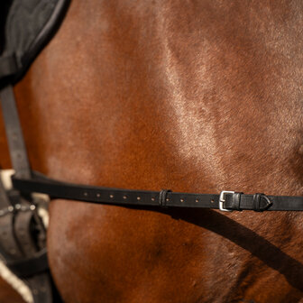 Imperial Riding Leren Bijzetteugels Core