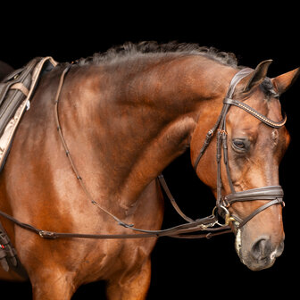 Imperial Riding Leren Bijzetteugels Core