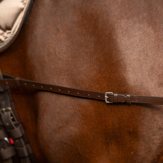 Imperial Riding Leren Bijzetteugels Core