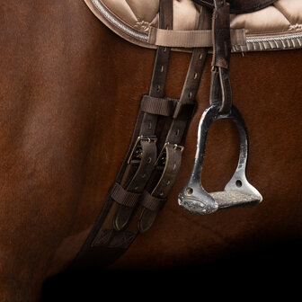 Imperial Riding Dressuur Singel Core