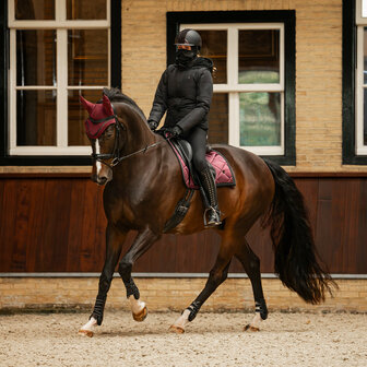 QHP Zadeldek Zahra