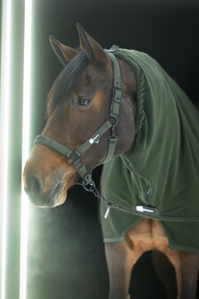 Eskadron Halster Double Pin Dynamic AW25